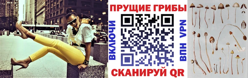 Купить закладки  Мостовской  Псилоцибиновые грибы прущие грибы 